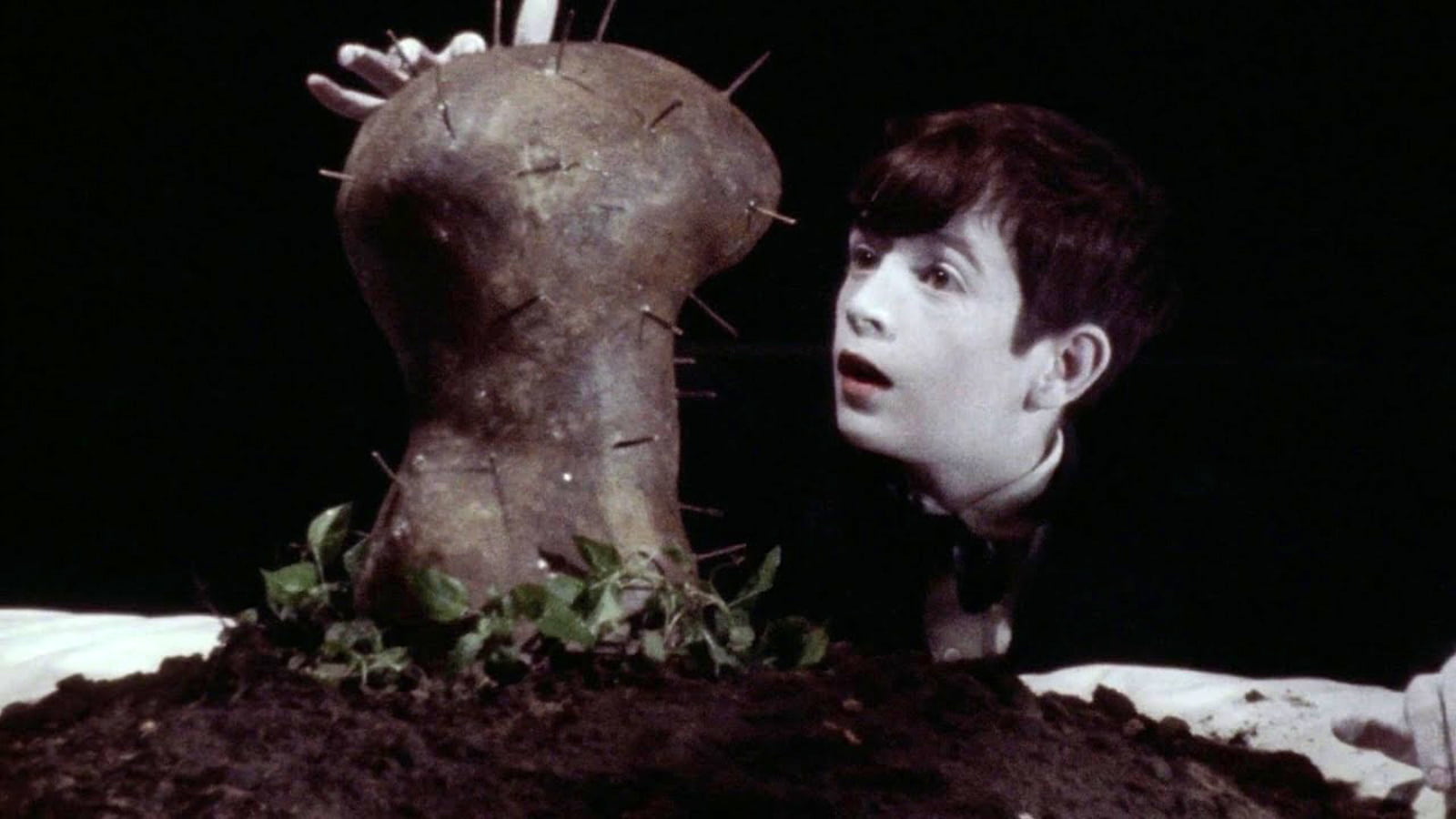 The Short Films of David Lynch